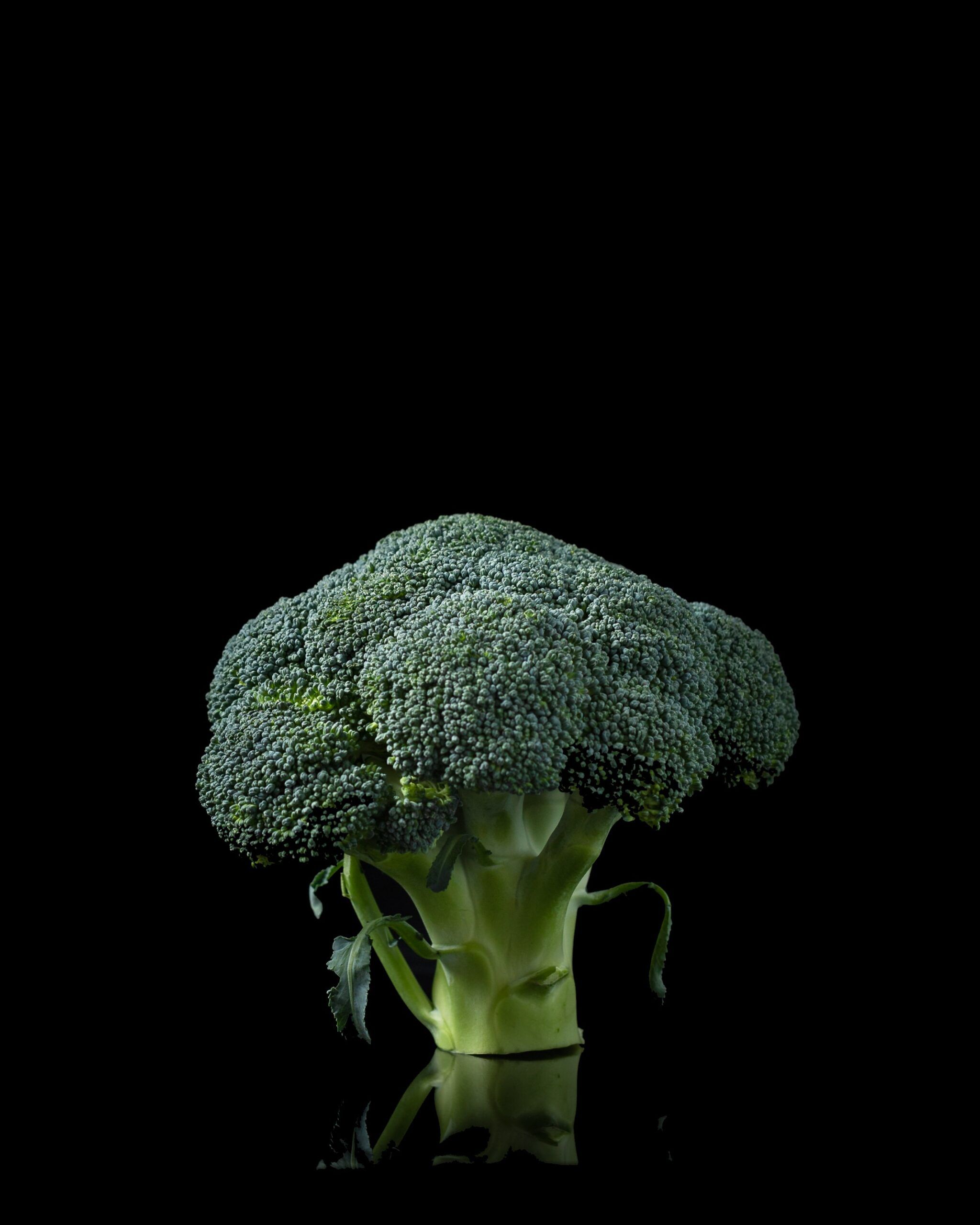 Head of broccoli | Italian Restaurant Graduate Hospital Philadelphia | Pagano's Market & Bar